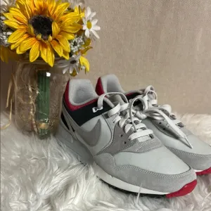 Nike Air Pegasus Golf Shoes 'Neutral Grey' (FJ2245-100) White, Gray, Red *unisex