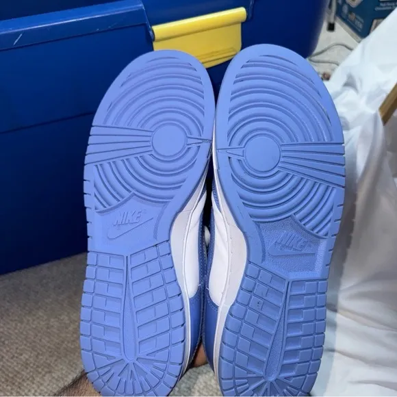 Polar Blue Nike Dunks  Size 10.5  DV0833-400