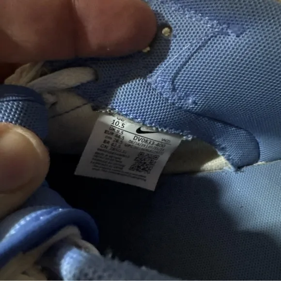 Polar Blue Nike Dunks  Size 10.5  DV0833-400