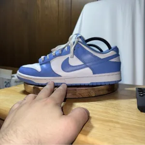 Polar Blue Nike Dunks  Size 10.5  DV0833-400