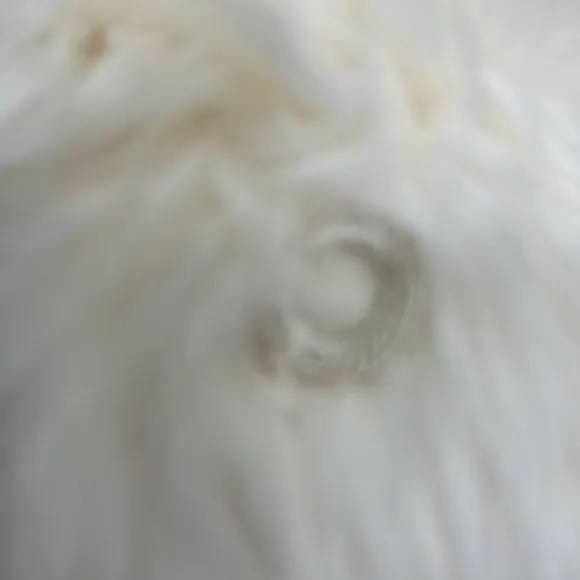 SALE! Jacques Saint Laurent fur coat