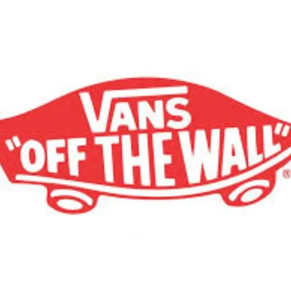 Vans Lo Pro Lace Up Skate Shoes in Ash Gray