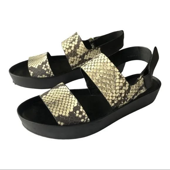 VINCE 'Marett' Python Snakeskin Black White LEATHER Platform Size 7M